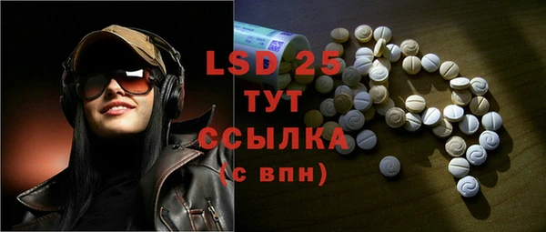 ГАЛЛЮЦИНОГЕННЫЕ ГРИБЫ Нея