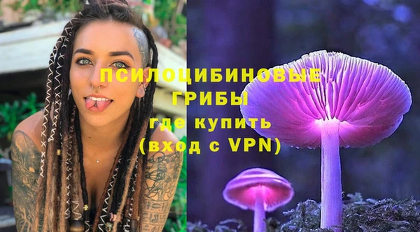 ГАЛЛЮЦИНОГЕННЫЕ ГРИБЫ Нея