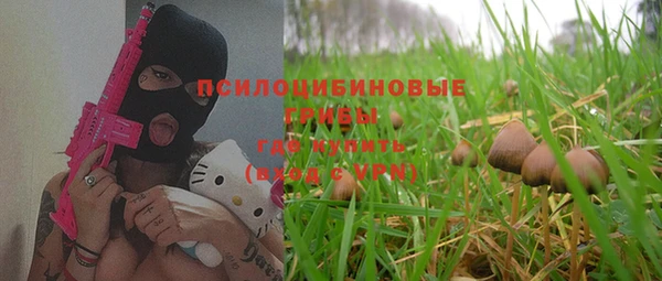 ГАЛЛЮЦИНОГЕННЫЕ ГРИБЫ Нея