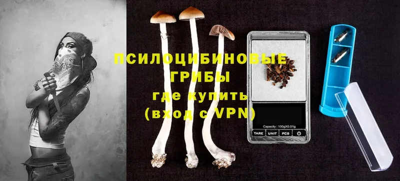 Галлюциногенные грибы Cubensis  закладка  Козельск 