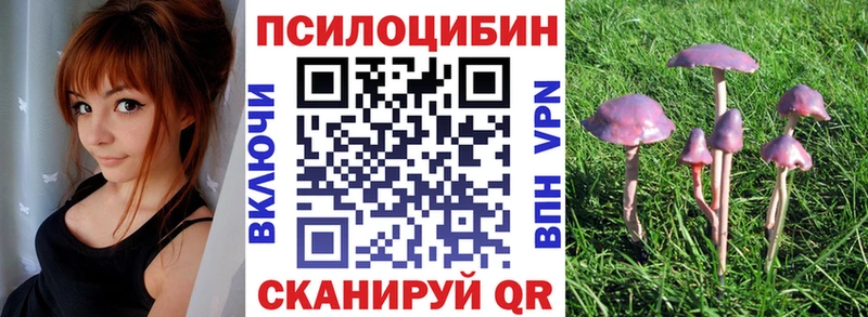 Галлюциногенные грибы MAGIC MUSHROOMS  как найти закладки  Козельск 